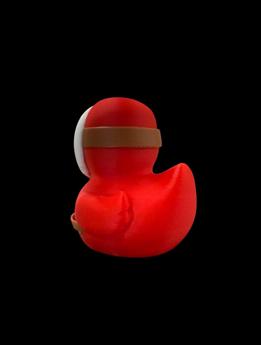 Silent Waddler – The Masked Mystery Duck