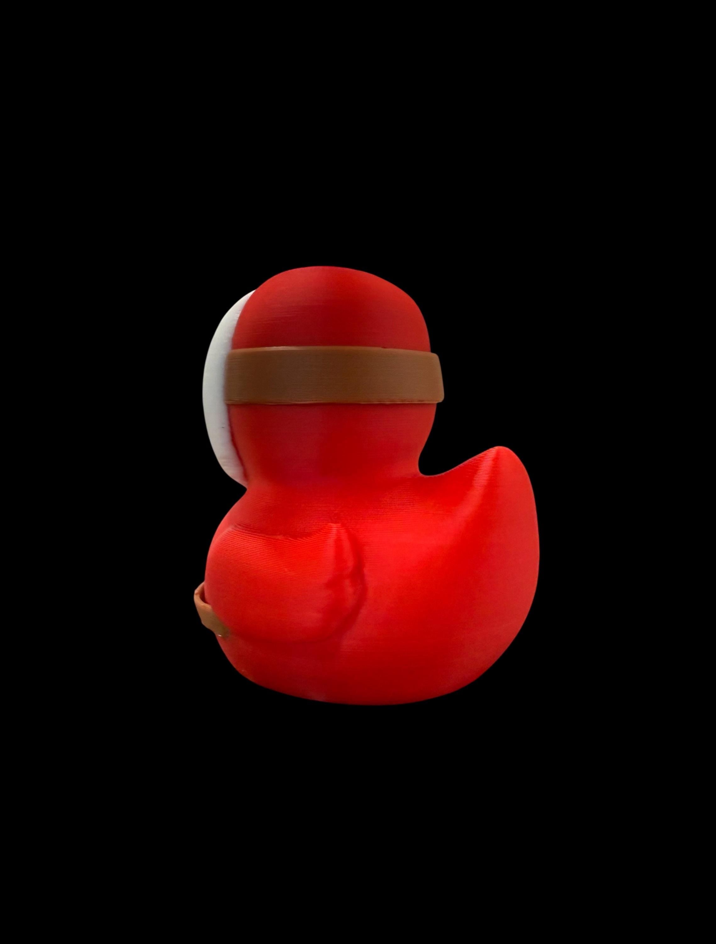 Silent Waddler – The Masked Mystery Duck