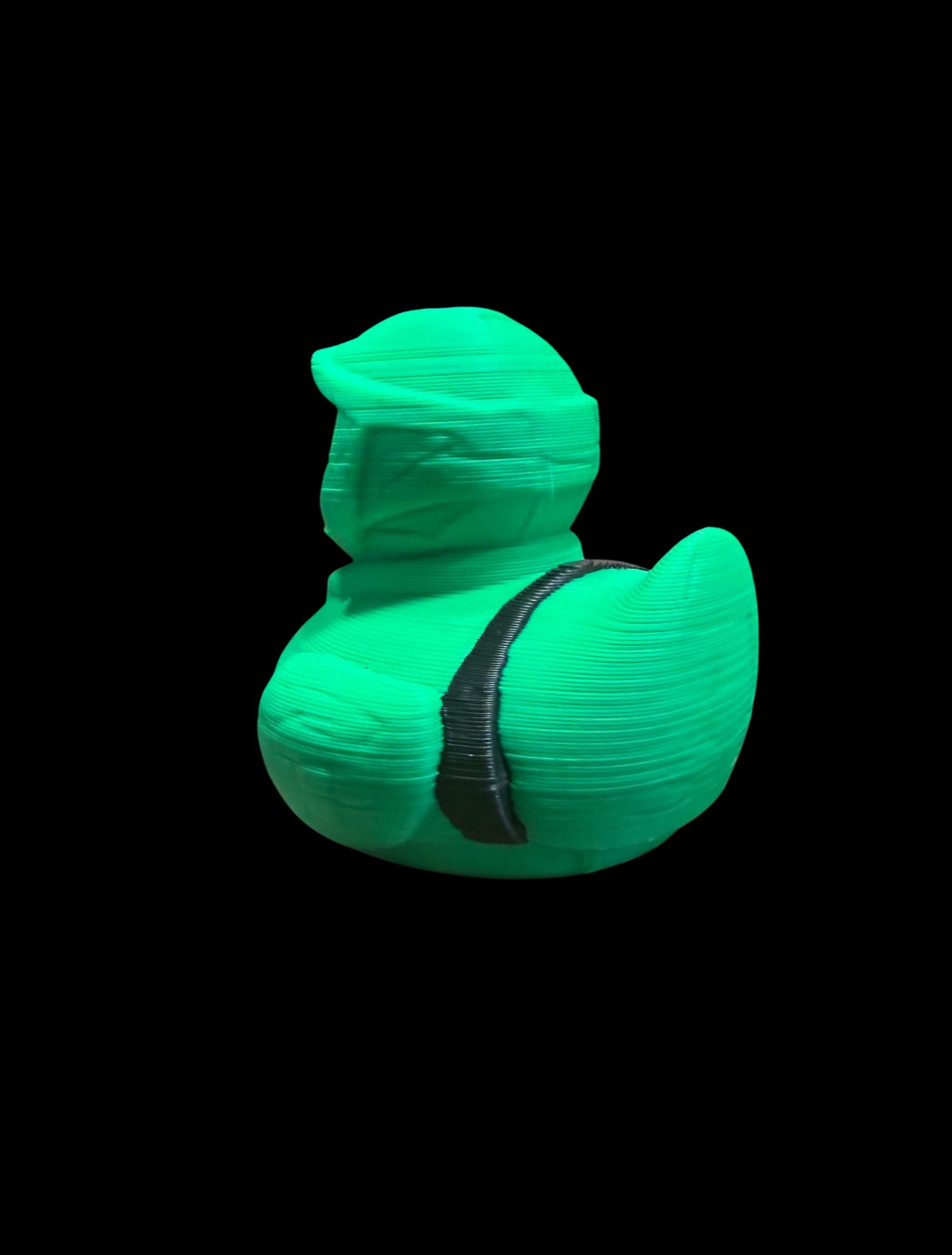 Master Quack Duck – The Pond’s Last Hope