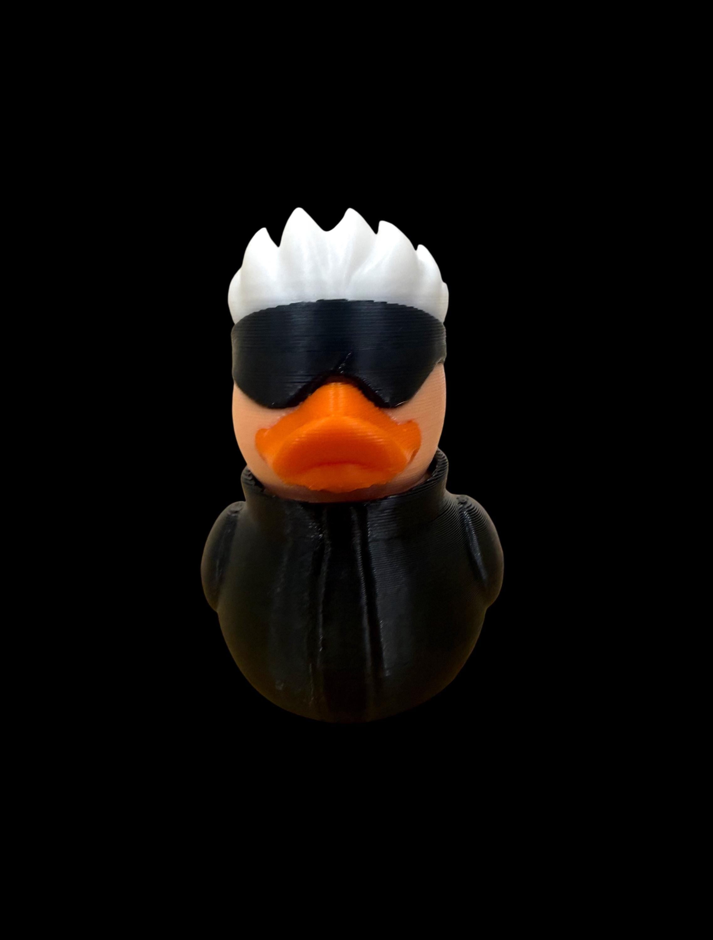 Shadow Sensei – The Coolest Quack in the Game
