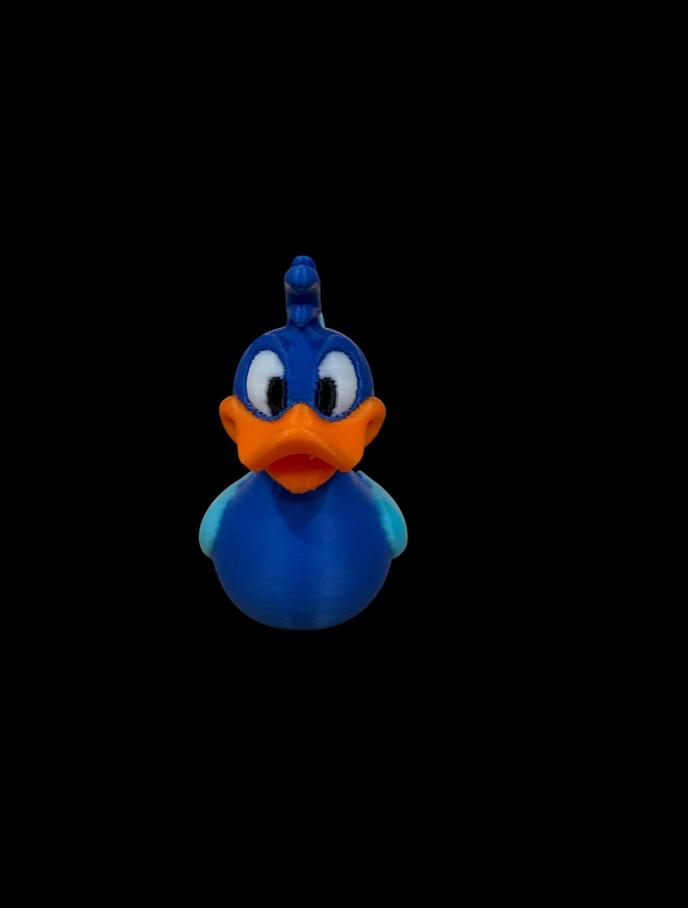 Zoomie the Speed Duck – The Fastest Feathers on the Pond!