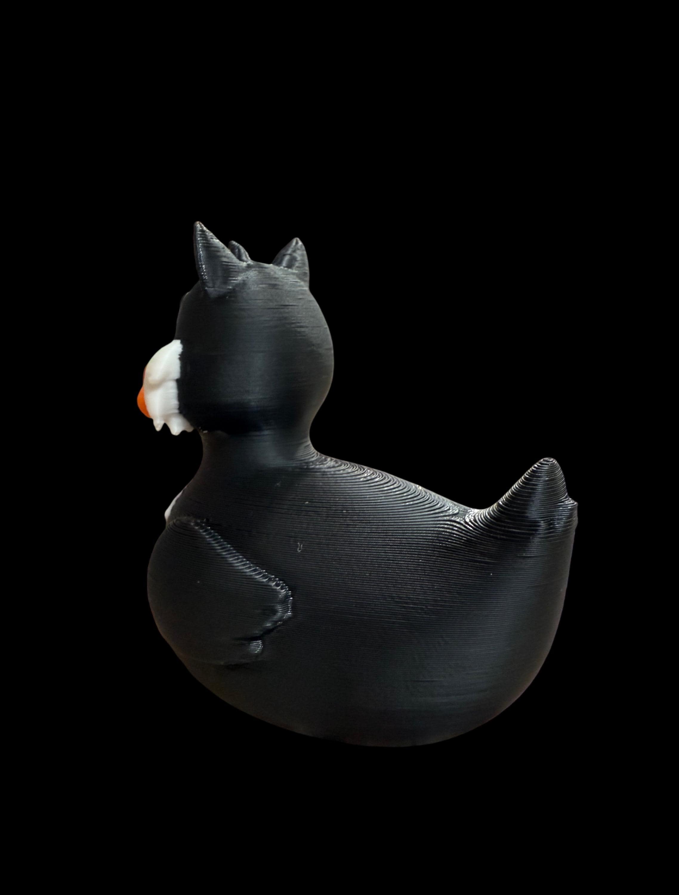 Whiskerquack – The Duck Who Never Gives Up!