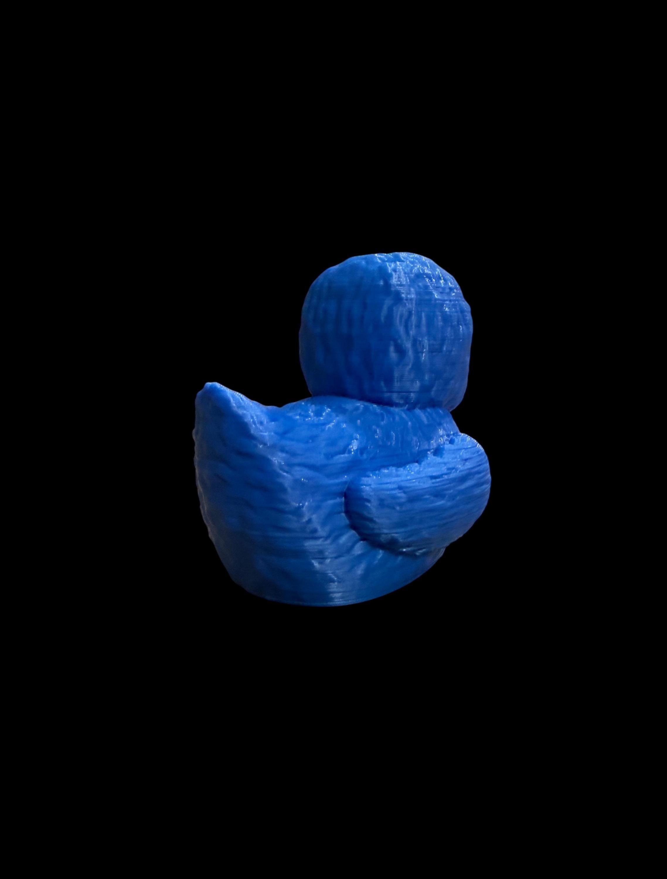 Sir Wiggleboots – Defender of Duckyland!