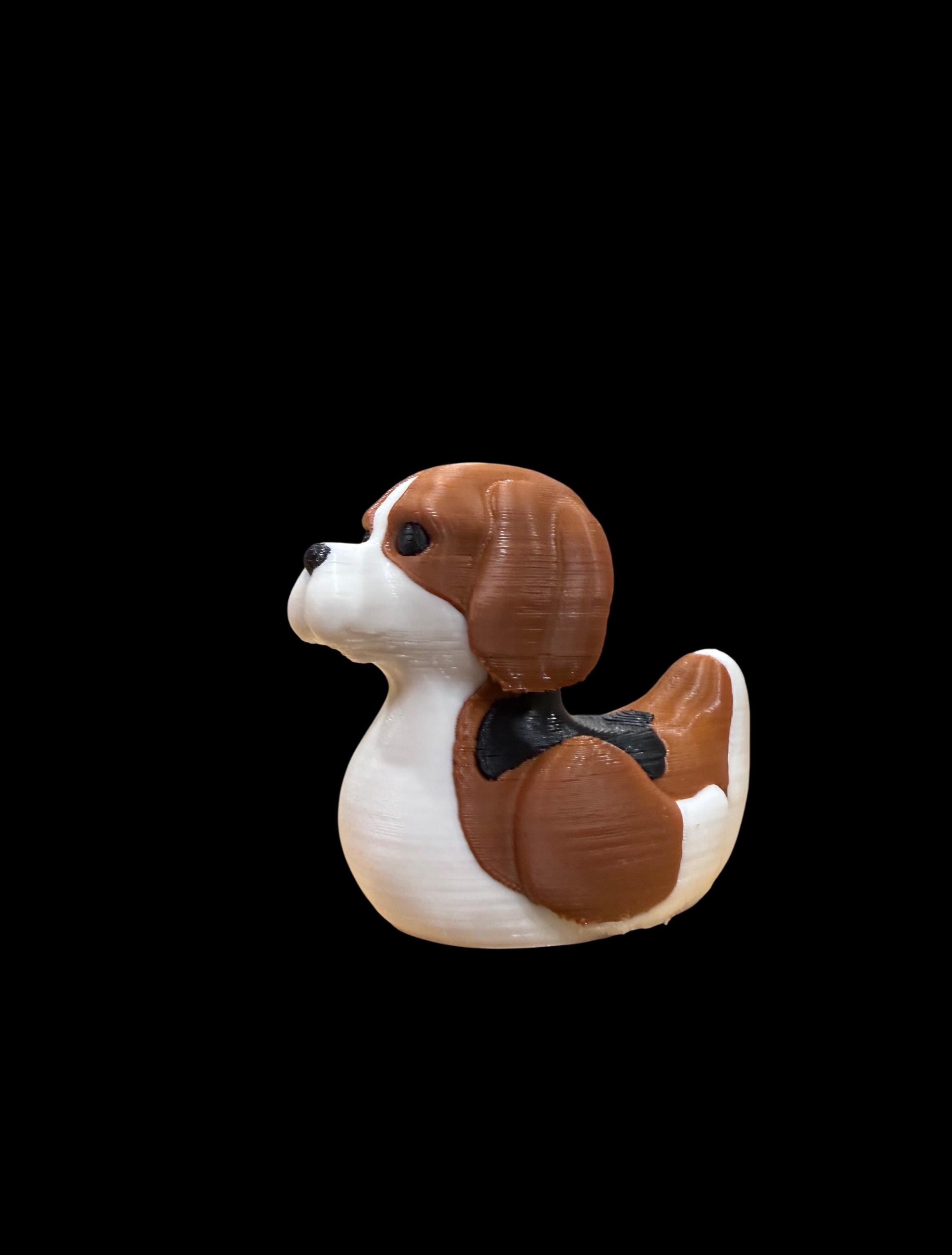 Beagle – Loyal Companion Duck