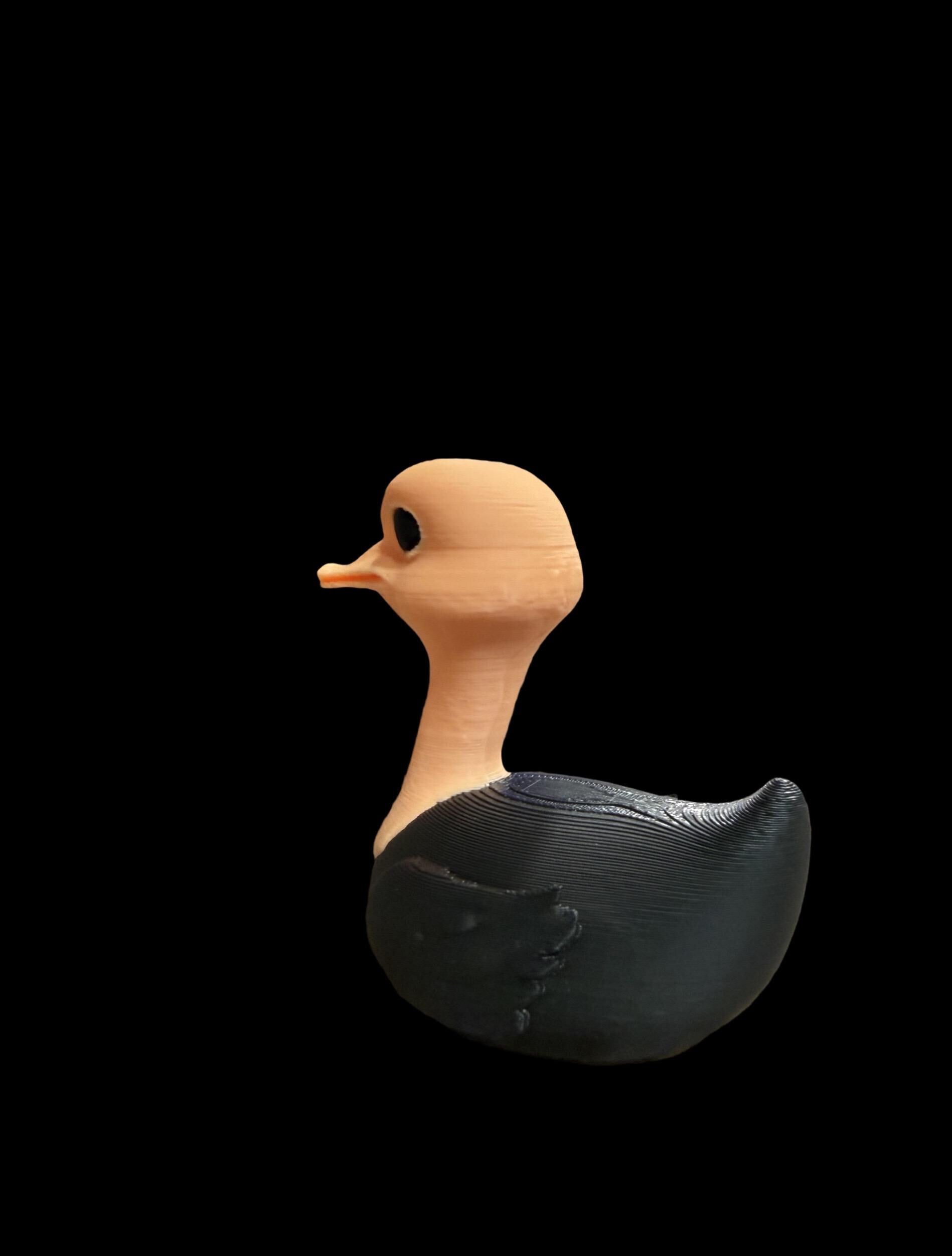 Ostrich Duck – Fast, Feathered, and Fabulous