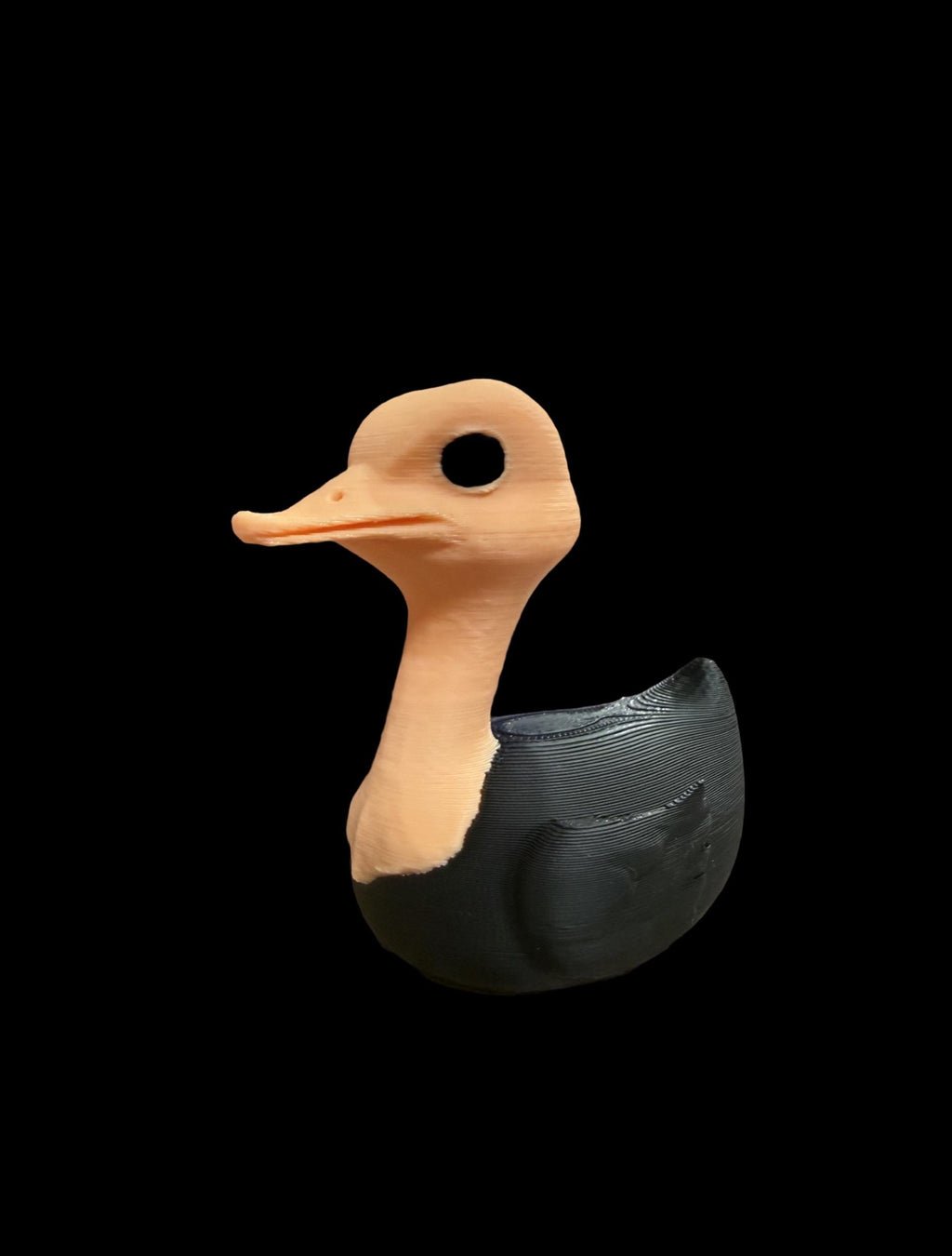 Ostrich Duck – Fast, Feathered, and Fabulous