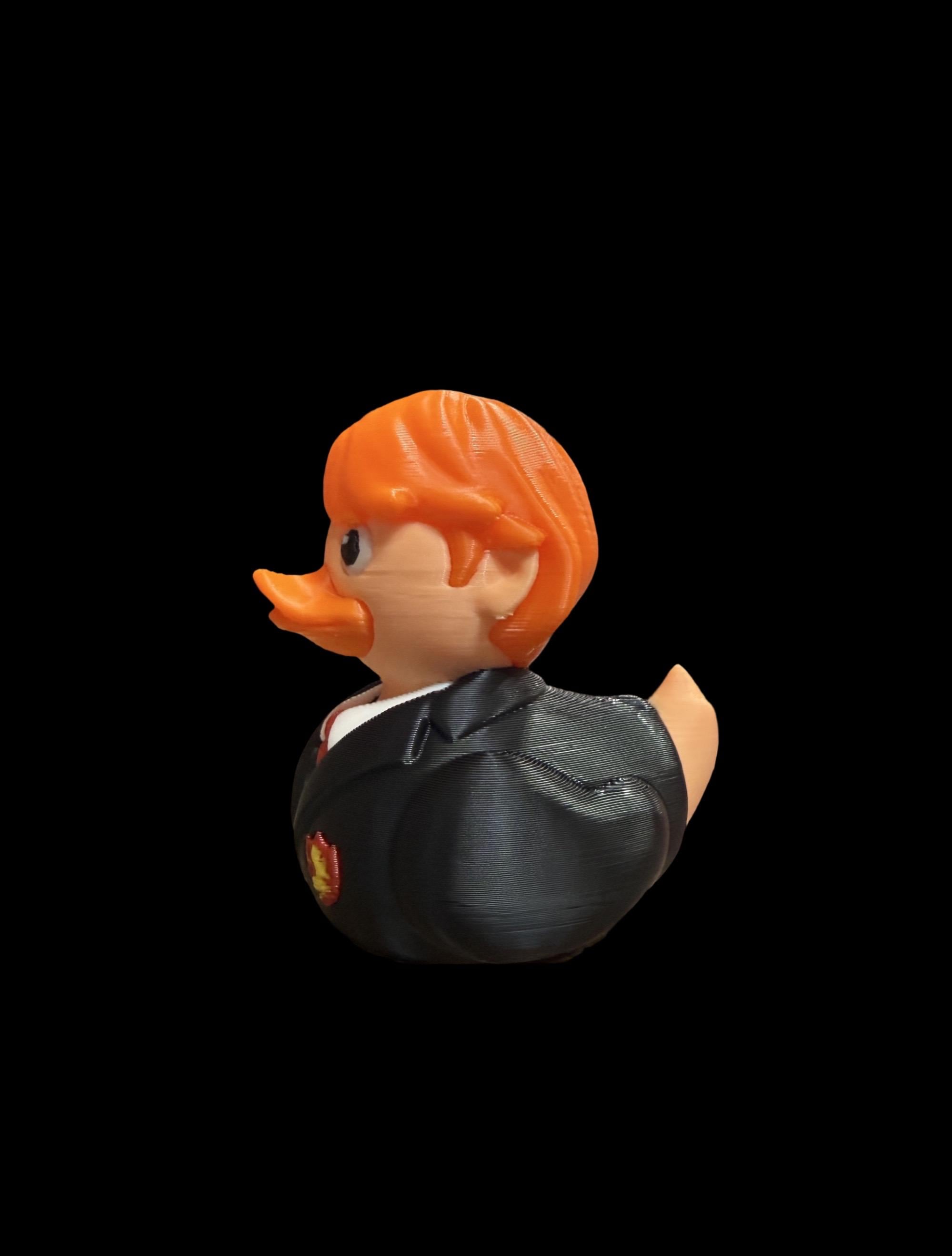 Ginger Wizard Duck – Loyal Feathered Friend