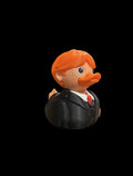 Ginger Wizard Duck – Loyal Feathered Friend