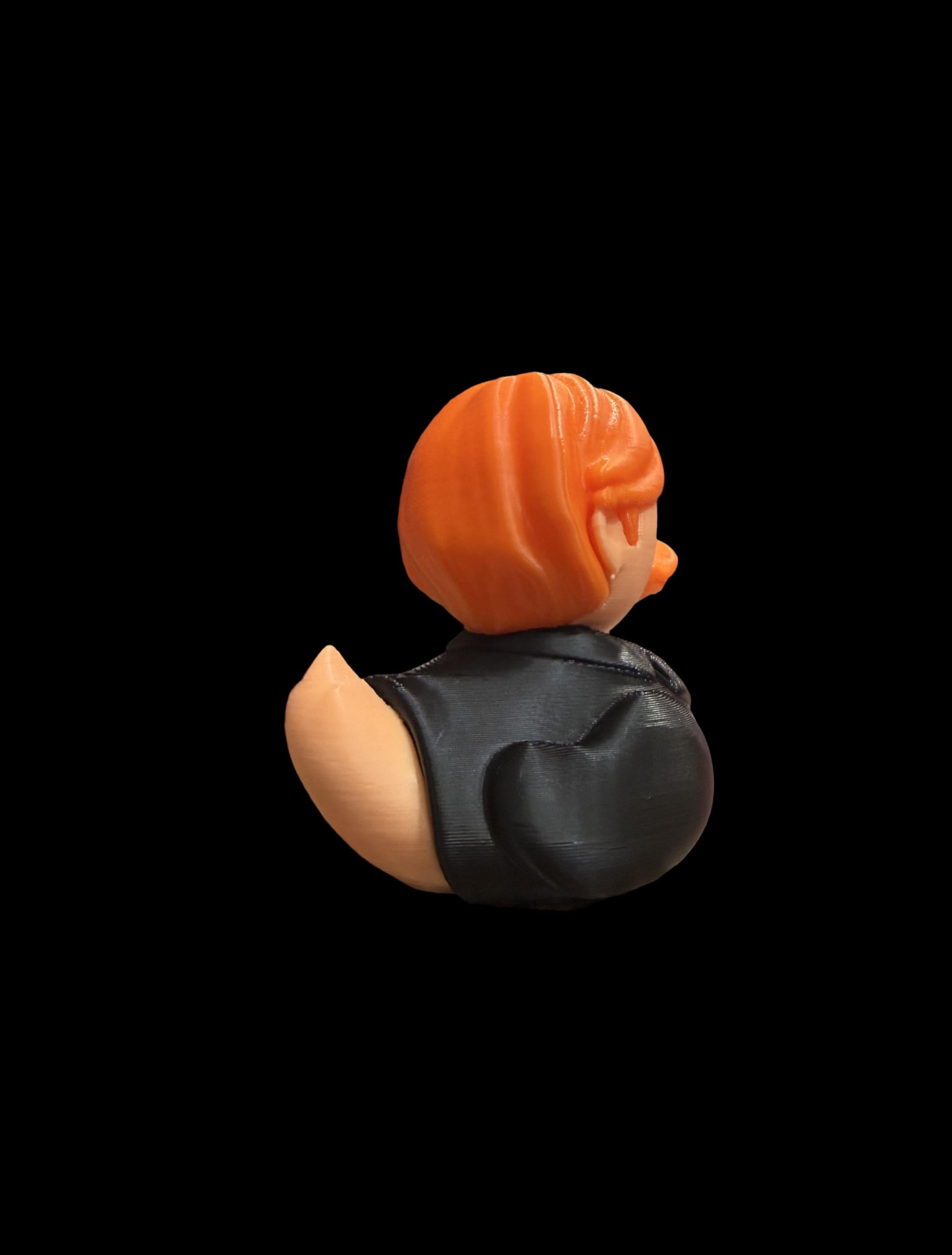 Ginger Wizard Duck – Loyal Feathered Friend