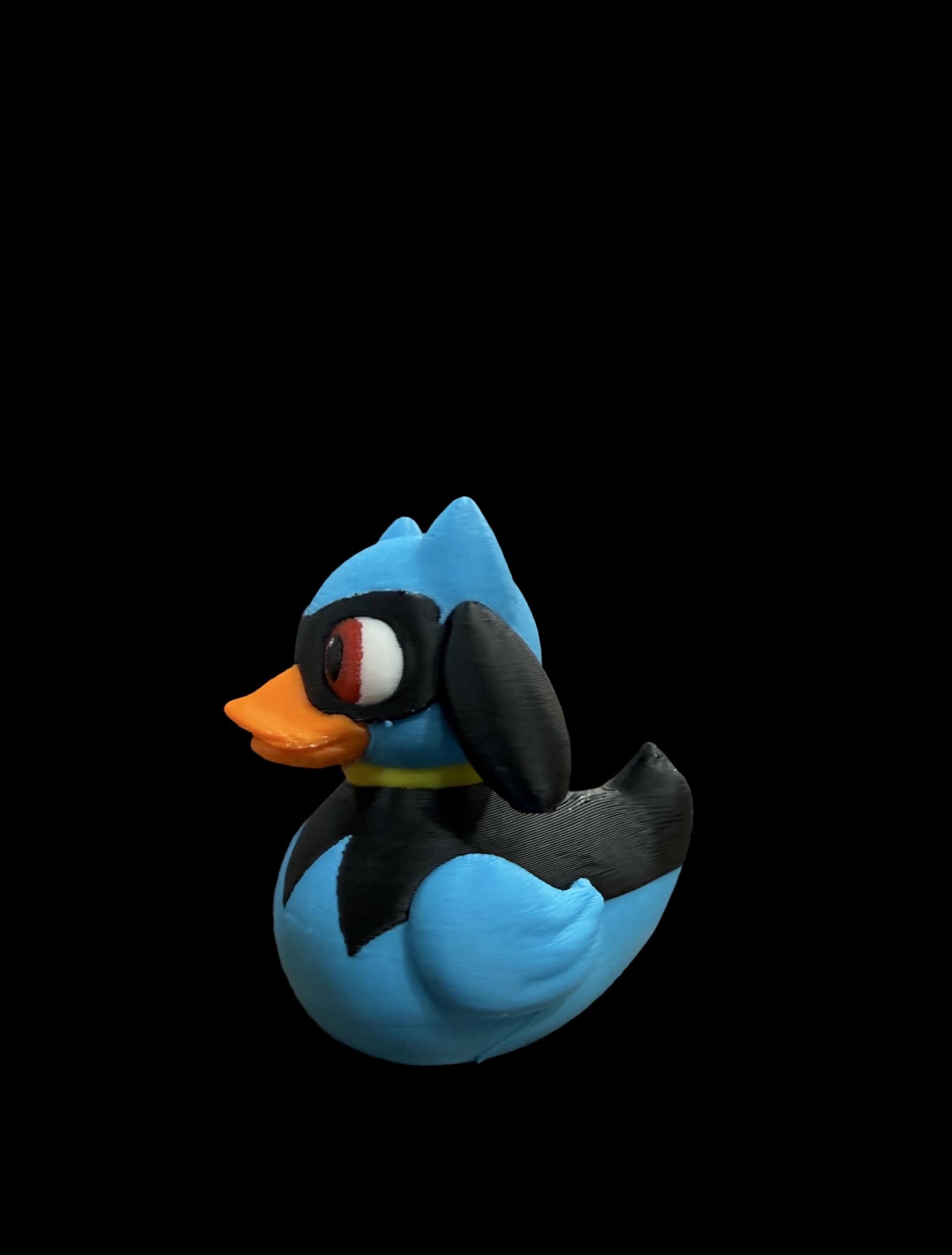Masked Beakling – Shadowy Guardian of the Pond