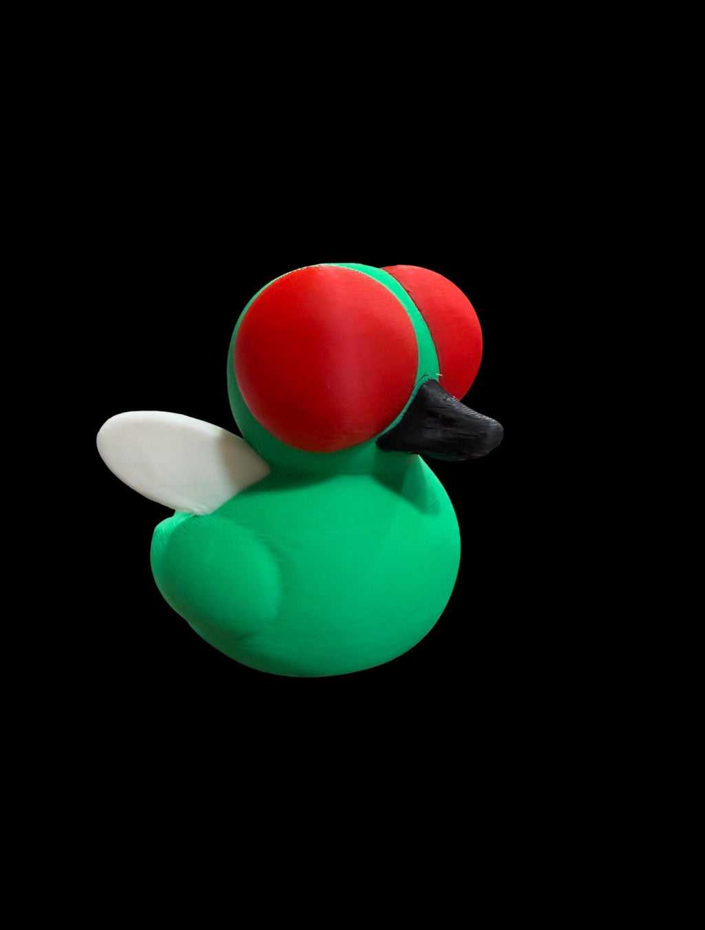 Buzzquack – The Fly of the Pond