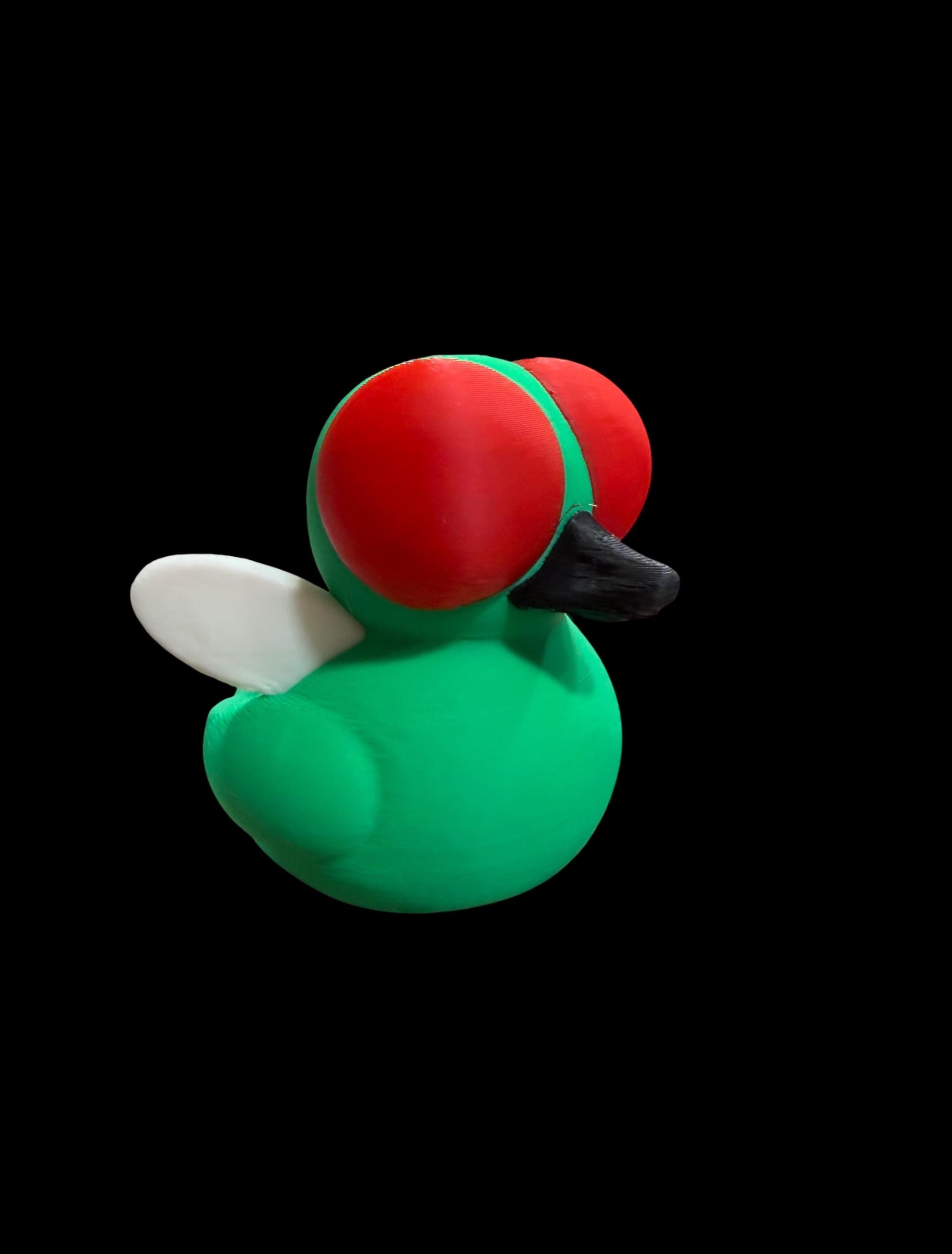 Buzzquack – The Fly of the Pond