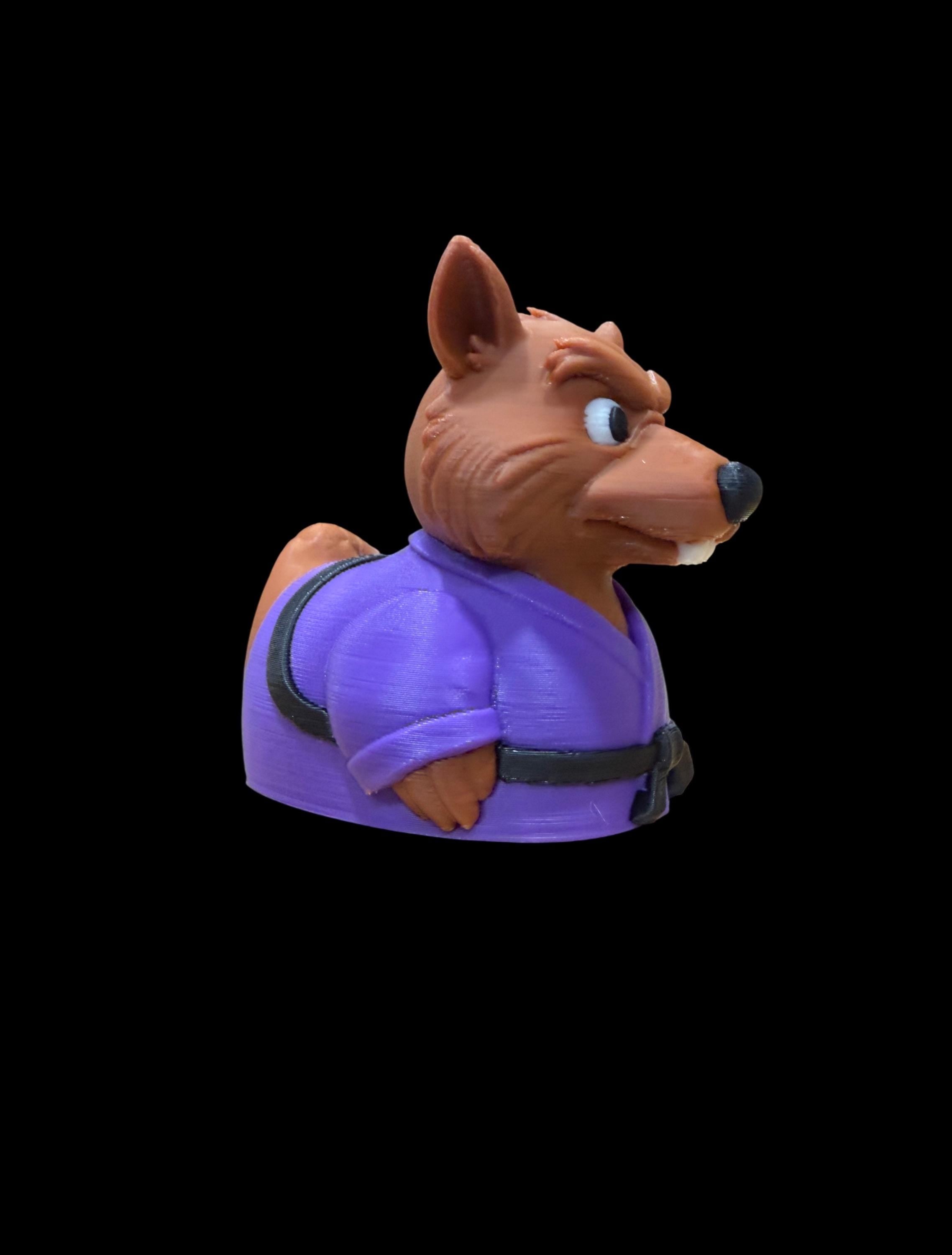 Master Quacksensei – The Wise Martial Duck