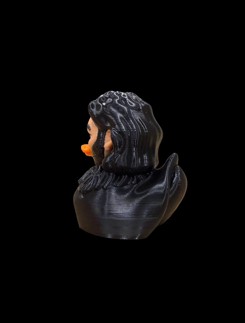 Darkwing Sentinel – Watcher of the Frozen Skies