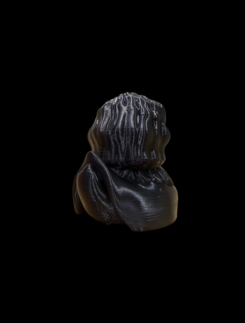 Darkwing Sentinel – Watcher of the Frozen Skies