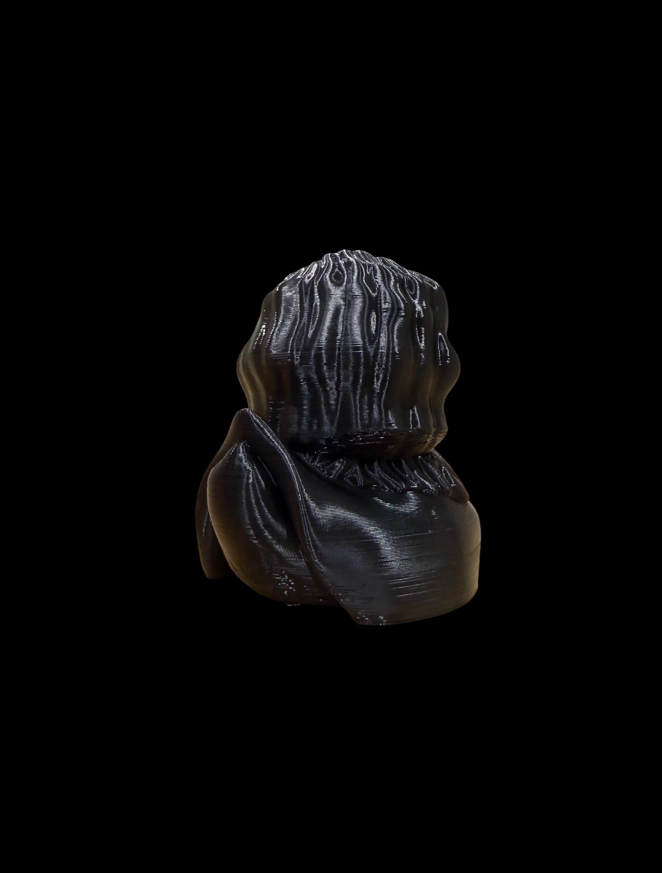 Darkwing Sentinel – Watcher of the Frozen Skies