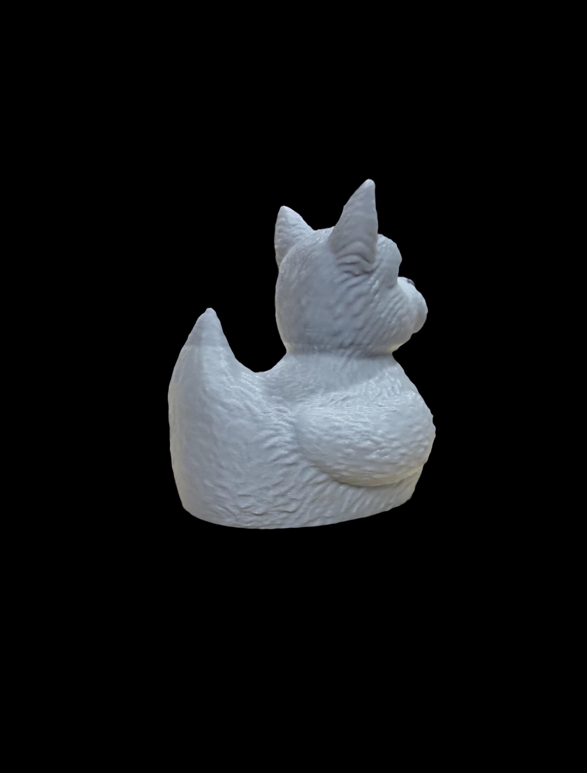 Pond Paws – The Loyal Sidekick Duck