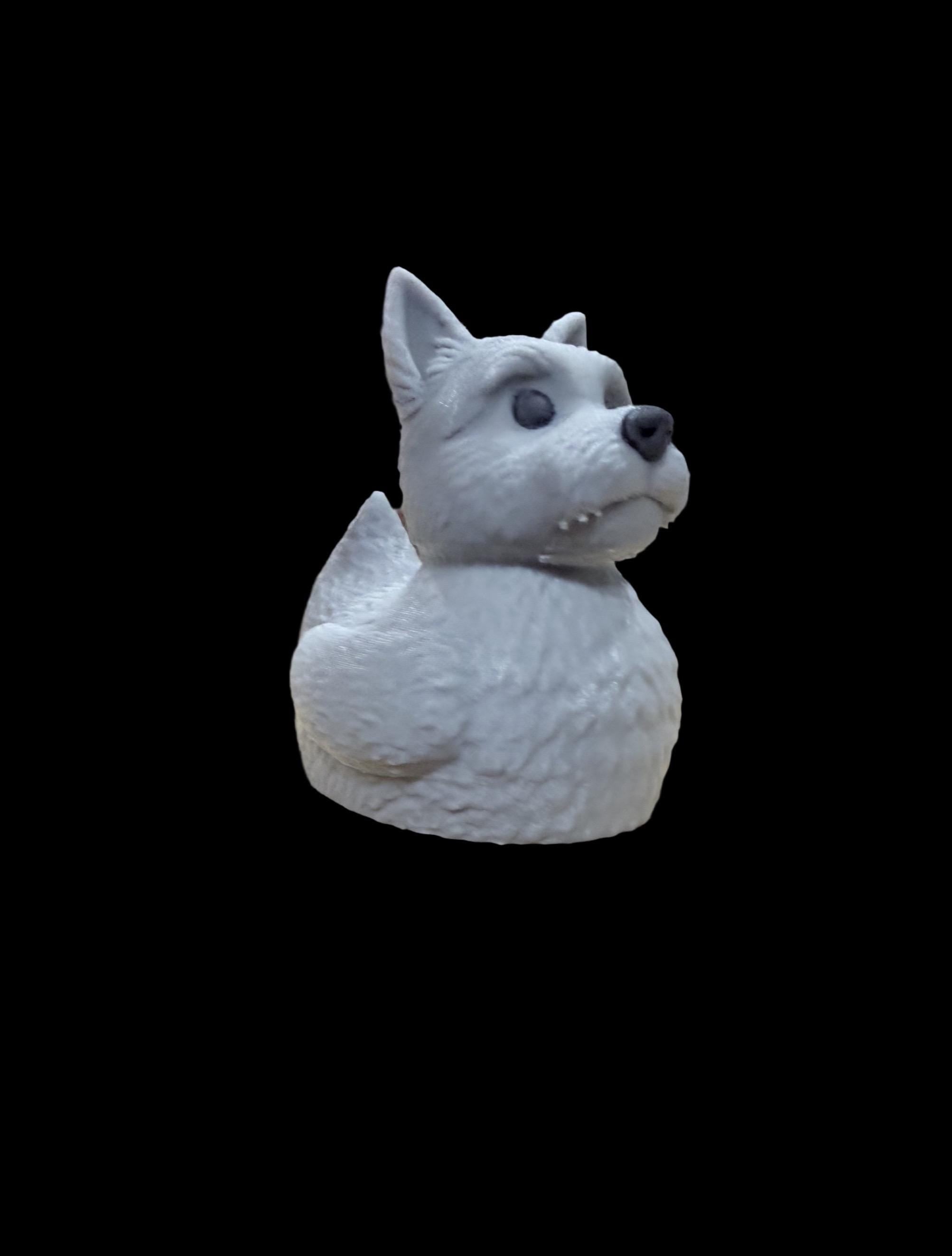 Pond Paws – The Loyal Sidekick Duck