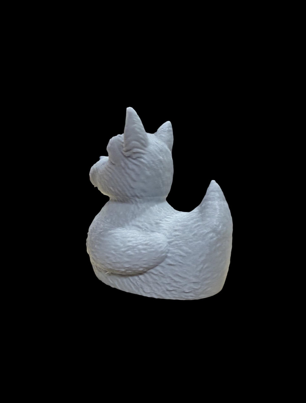 Pond Paws – The Loyal Sidekick Duck