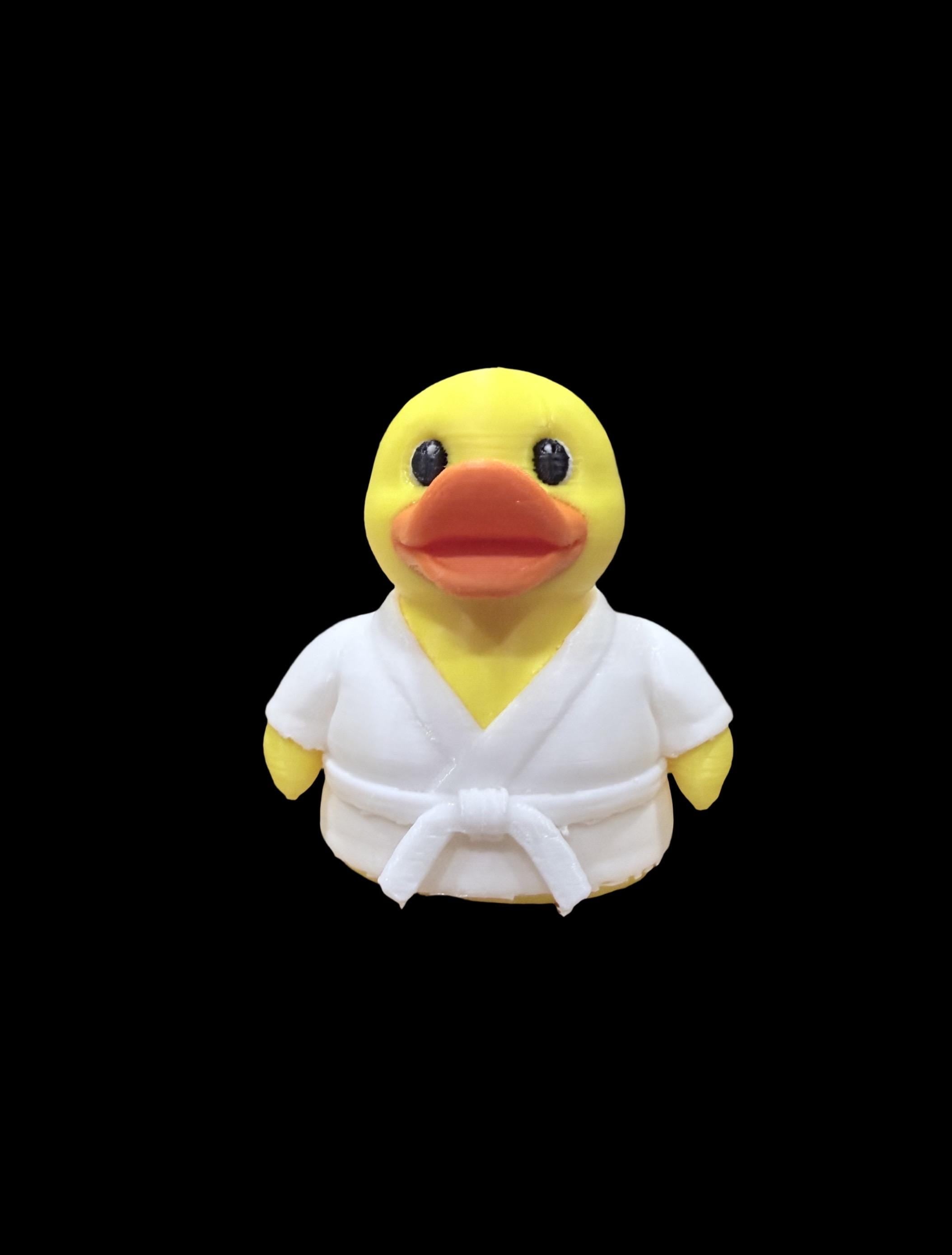 Karate Quack – Master of the Martial Arts