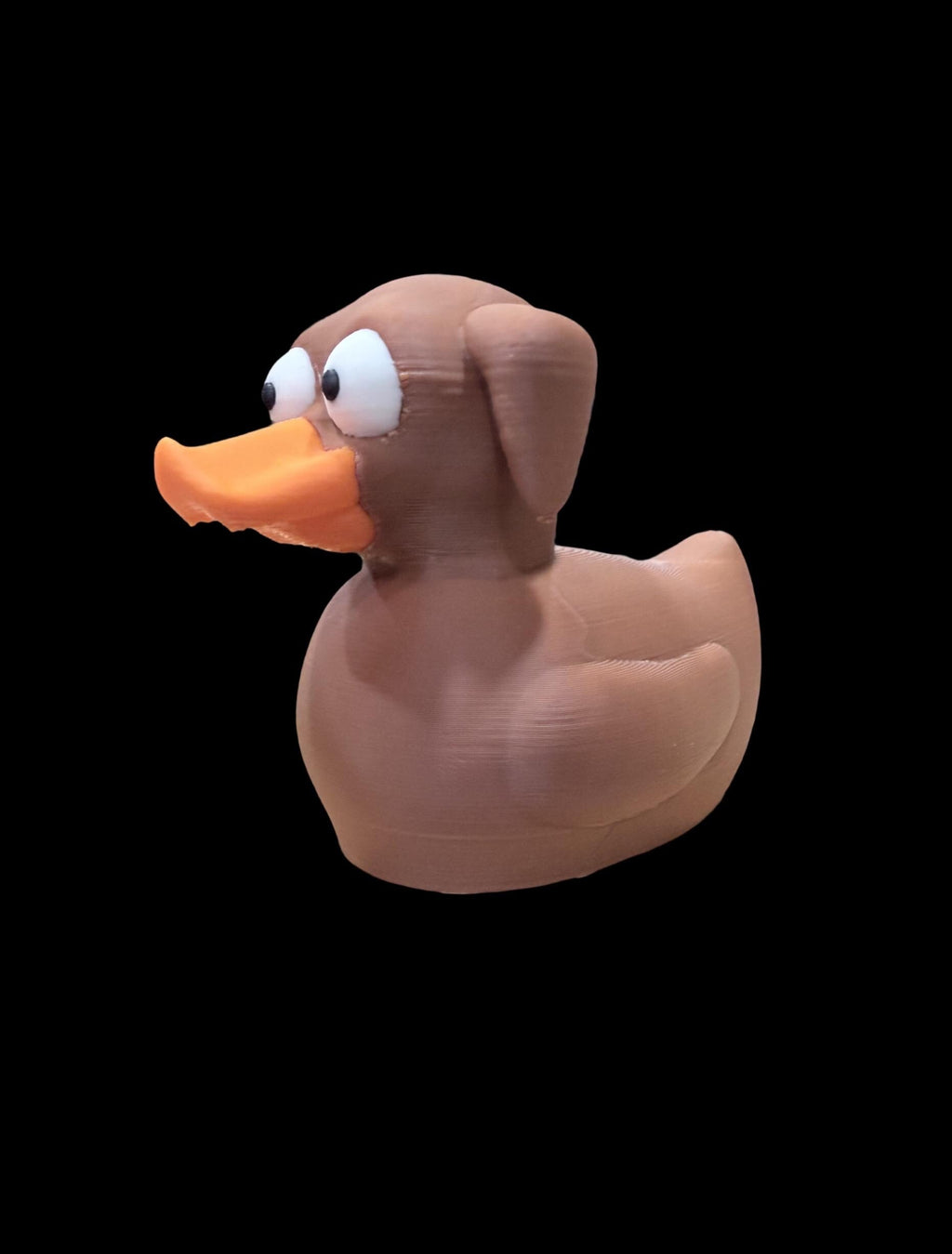 Barkquack – The Goodest Boy of the Pond