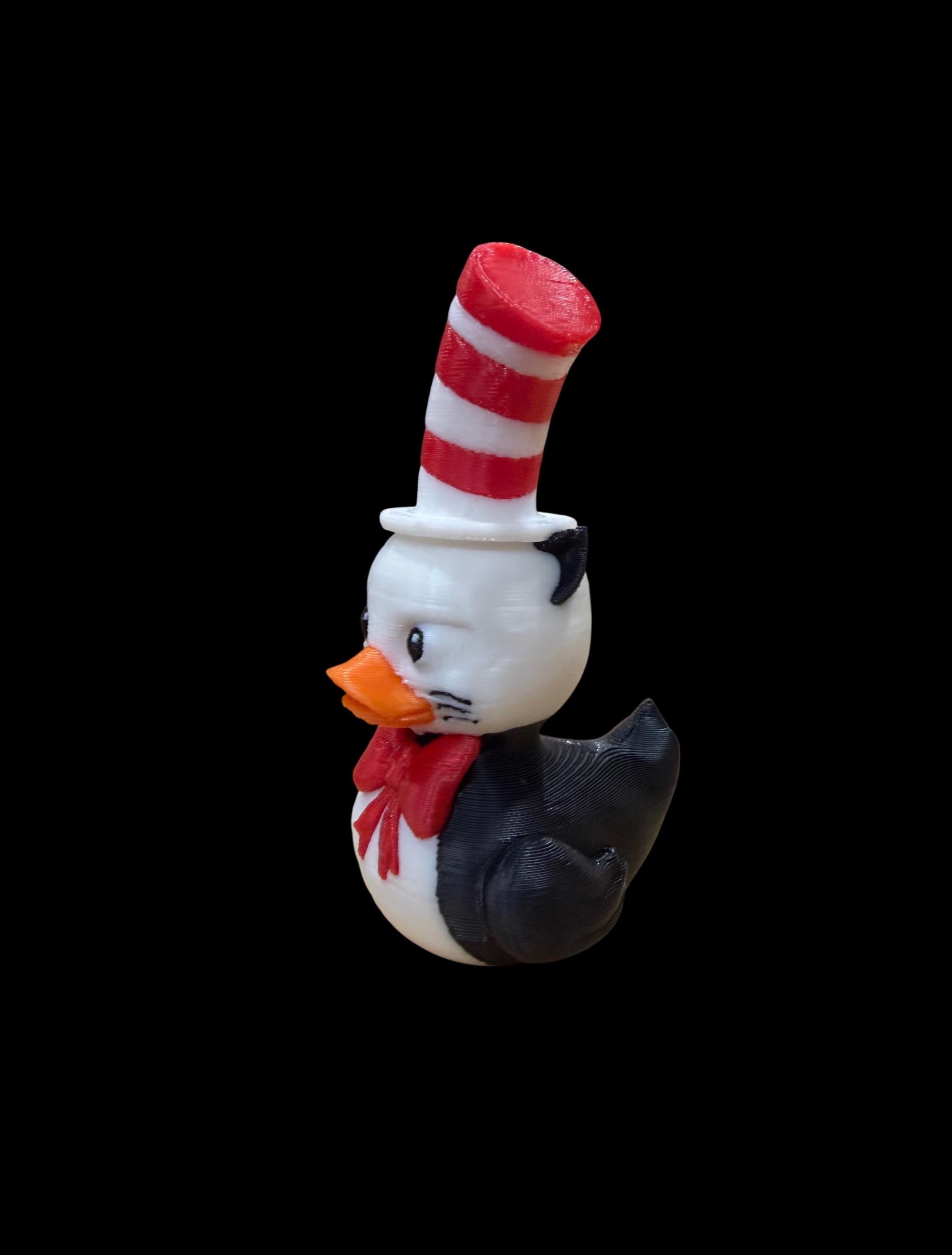 Catquack in the Hat – Whimsical Pond Wanderer