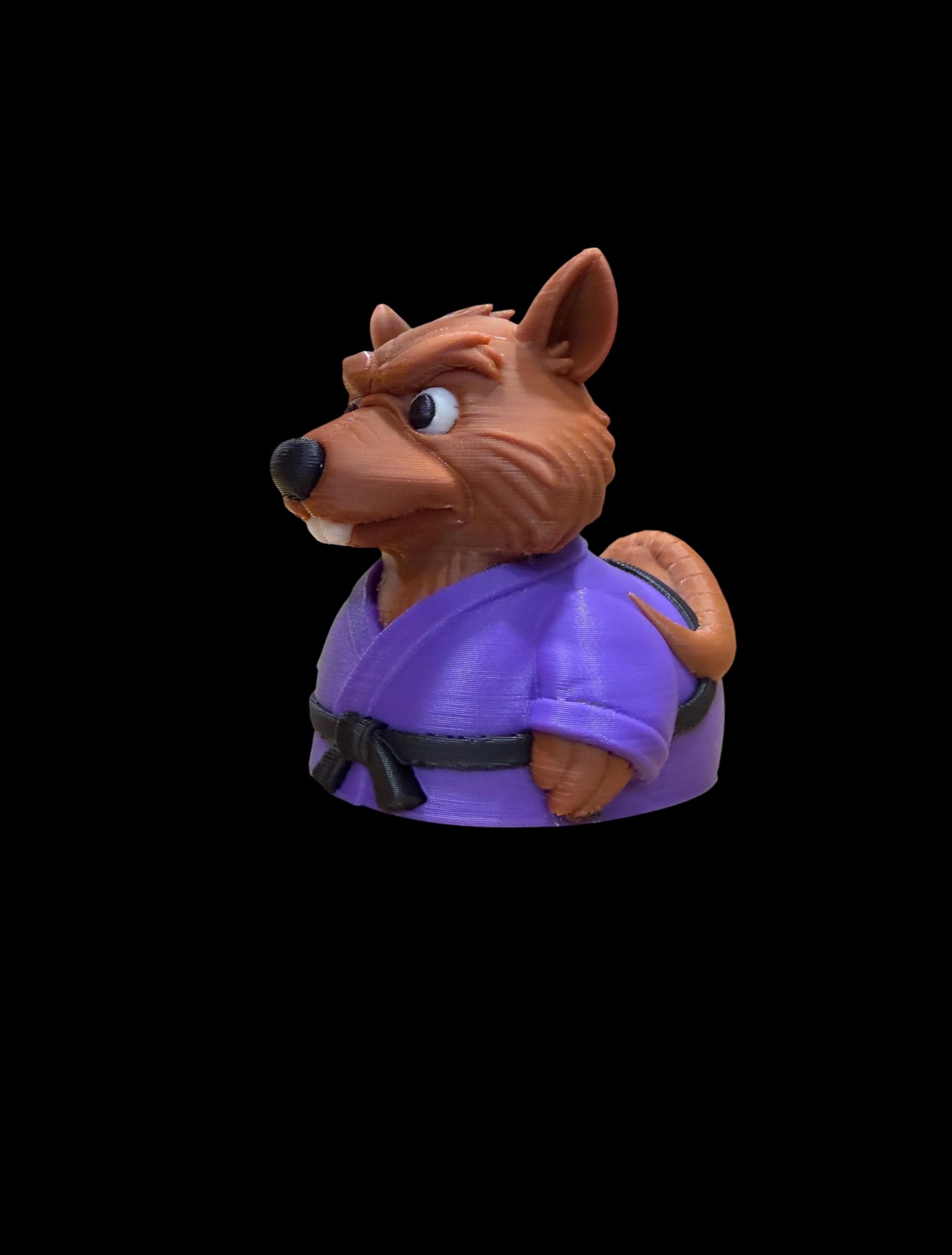 Master Quacksensei – The Wise Martial Duck