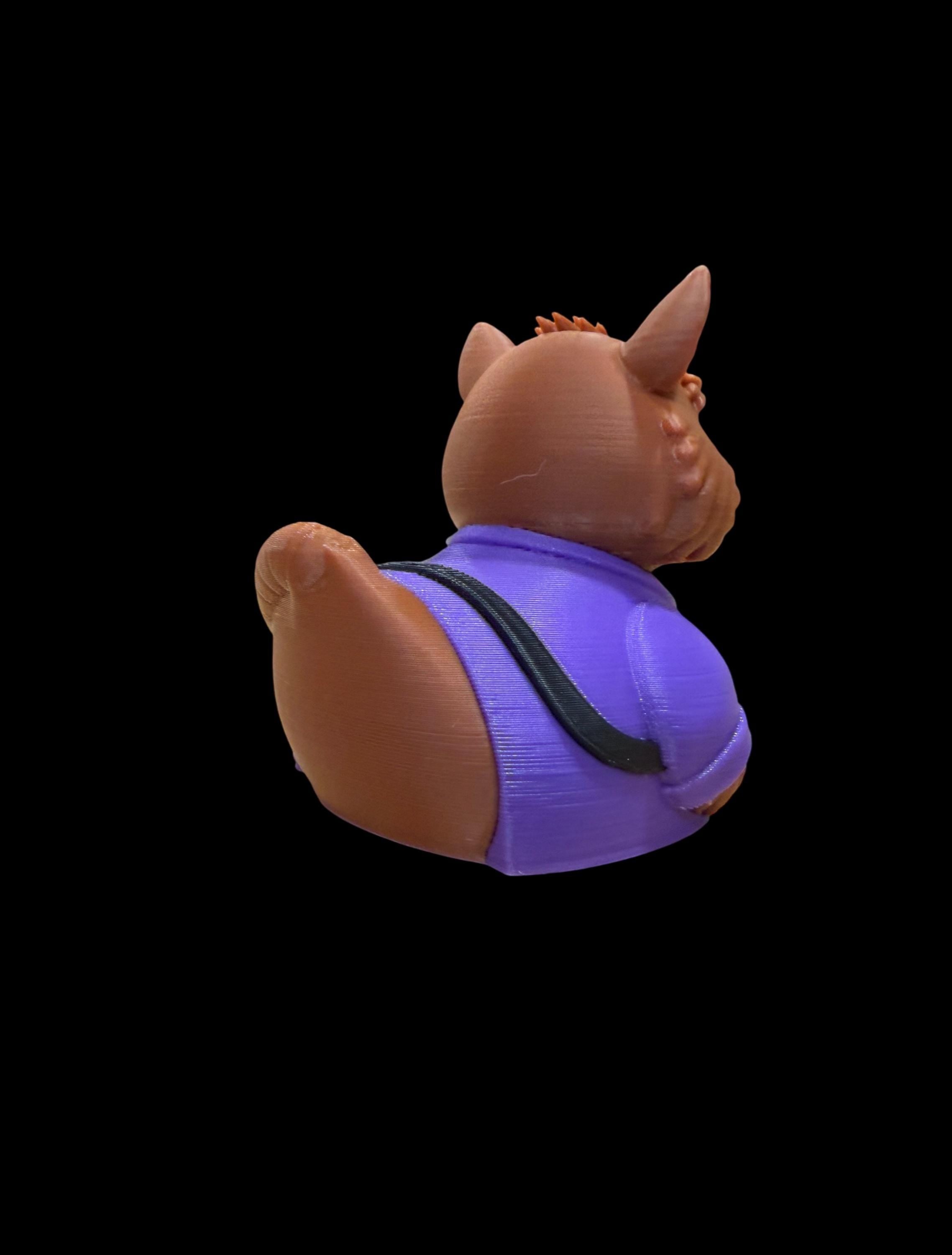 Master Quacksensei – The Wise Martial Duck