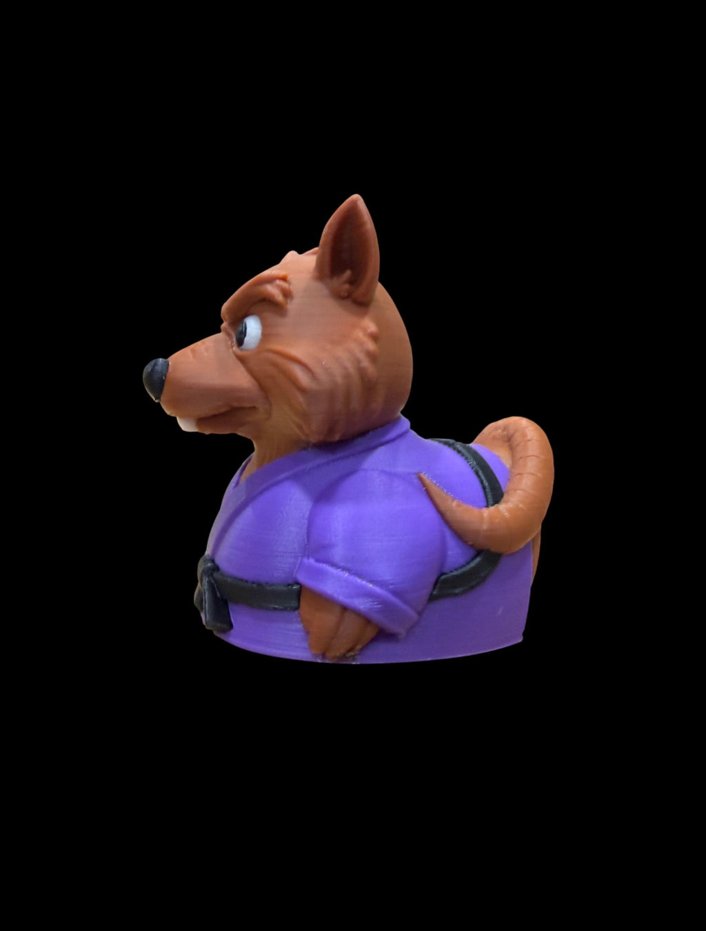 Master Quacksensei – The Wise Martial Duck