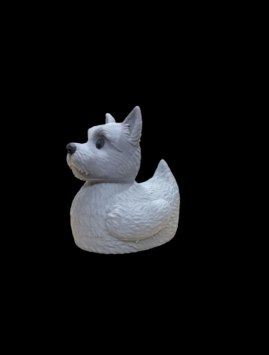 Pond Paws – The Loyal Sidekick Duck