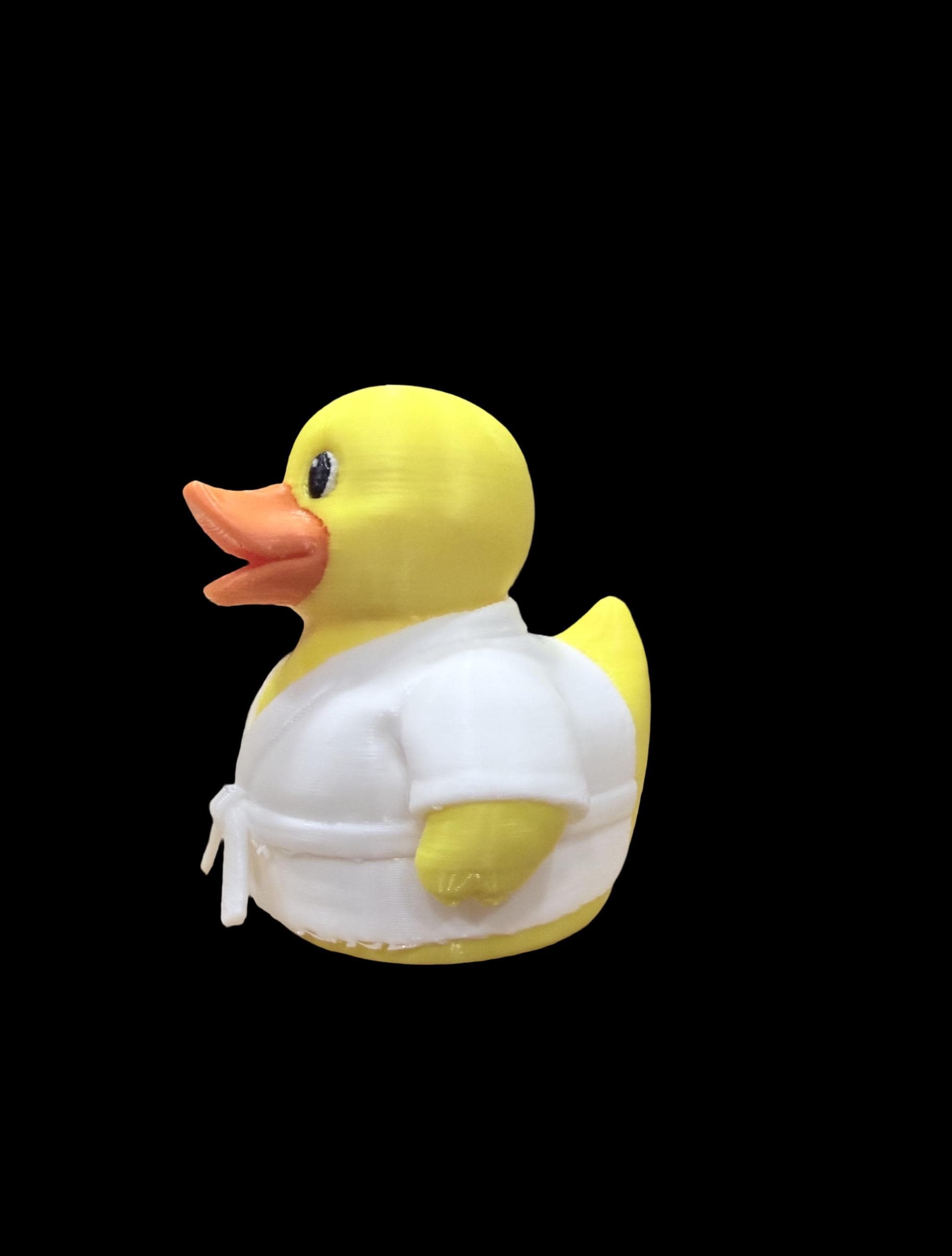 Karate Quack – Master of the Martial Arts