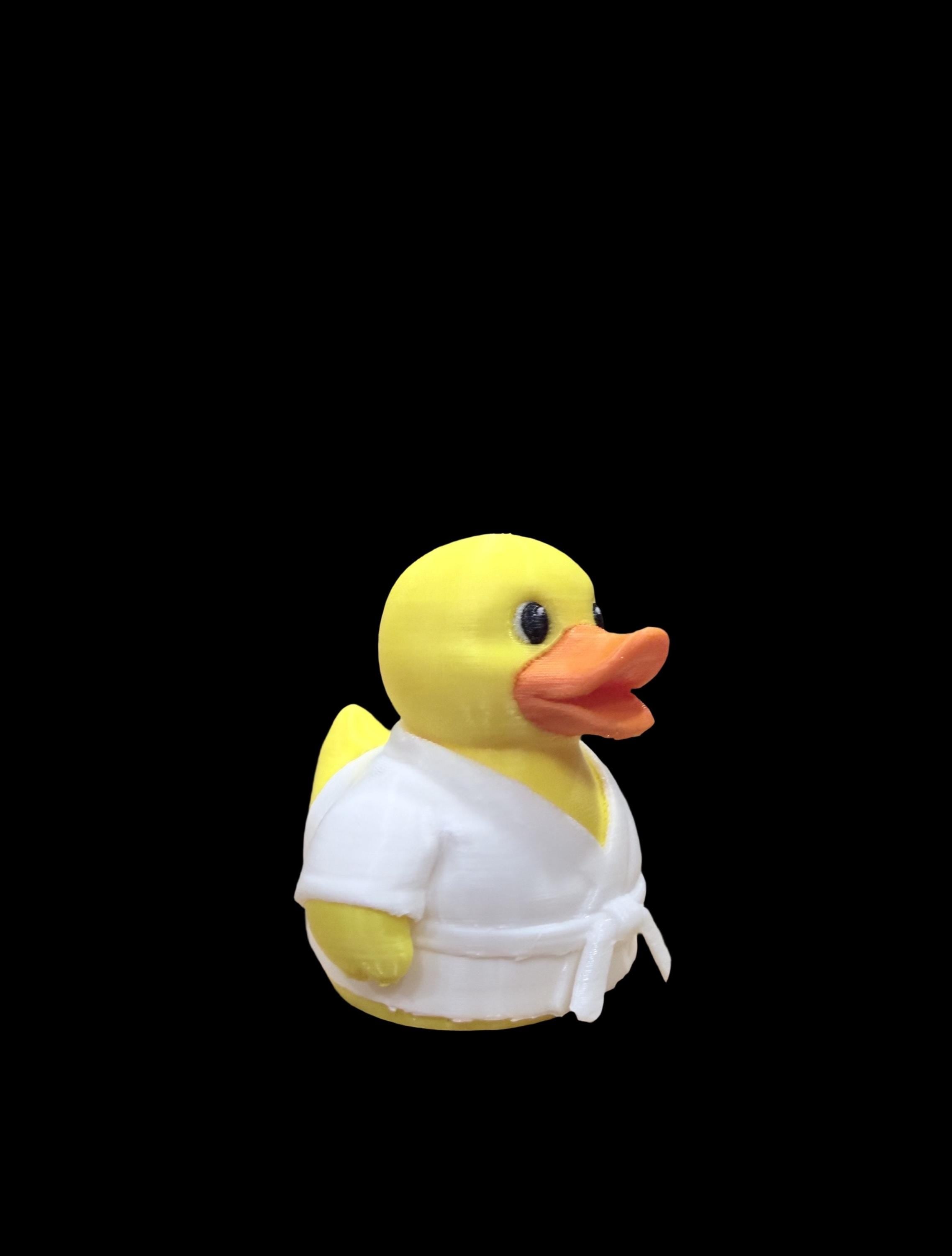 Karate Quack – Master of the Martial Arts