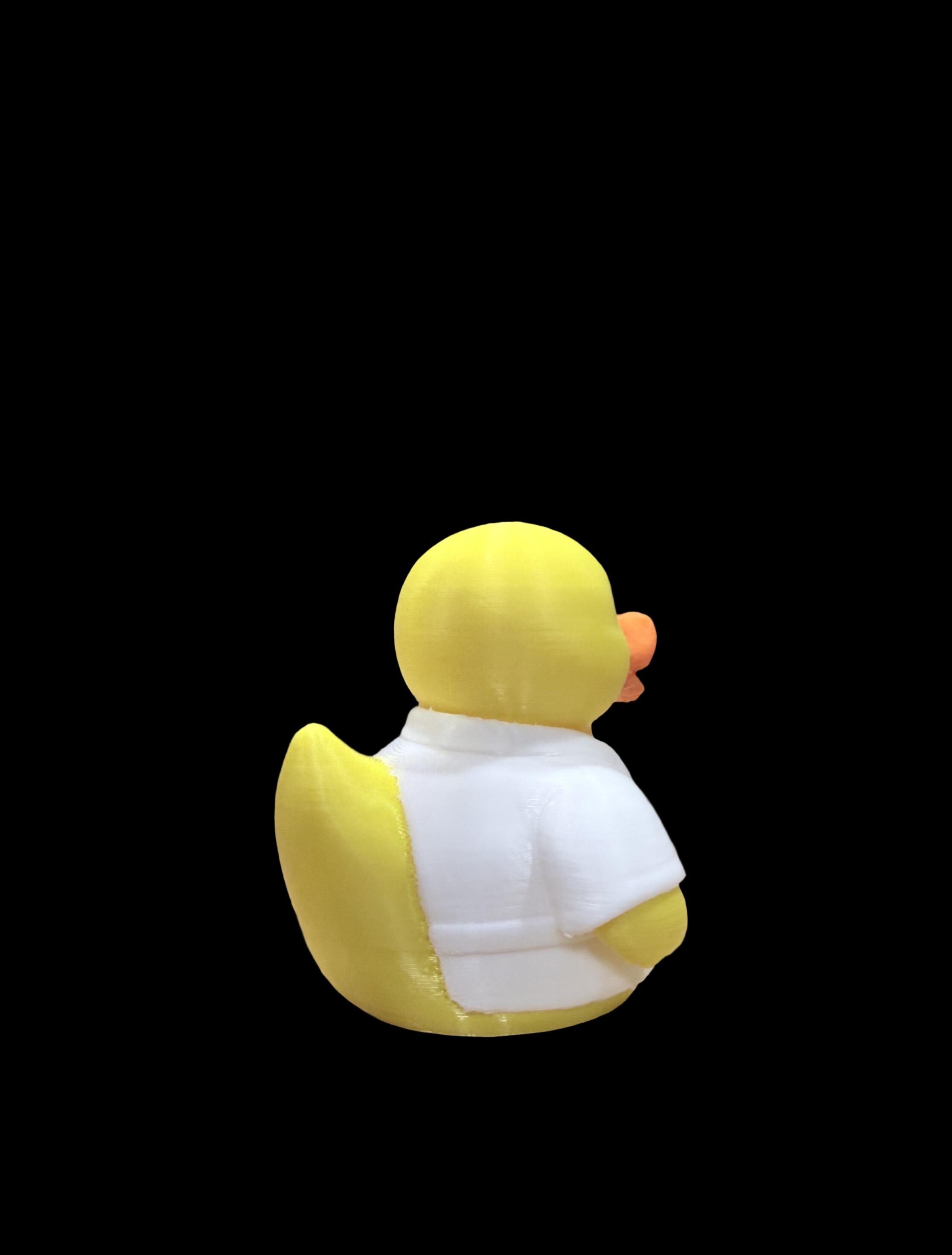 Karate Quack – Master of the Martial Arts