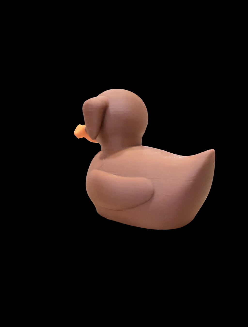 Barkquack – The Goodest Boy of the Pond