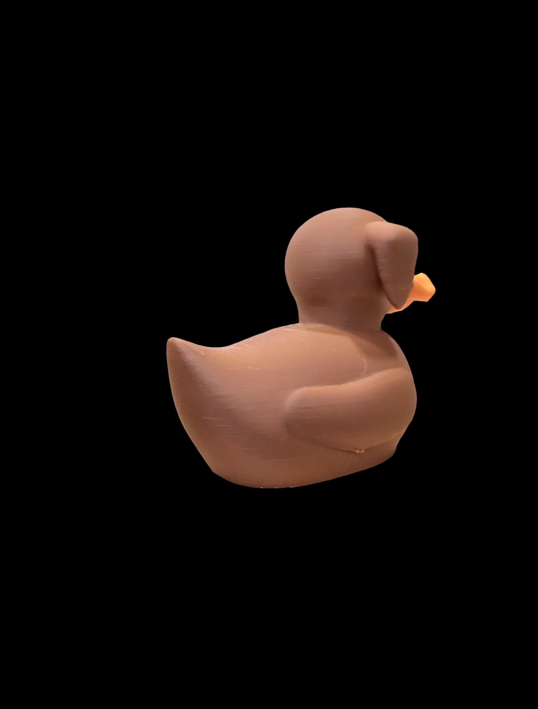 Barkquack – The Goodest Boy of the Pond