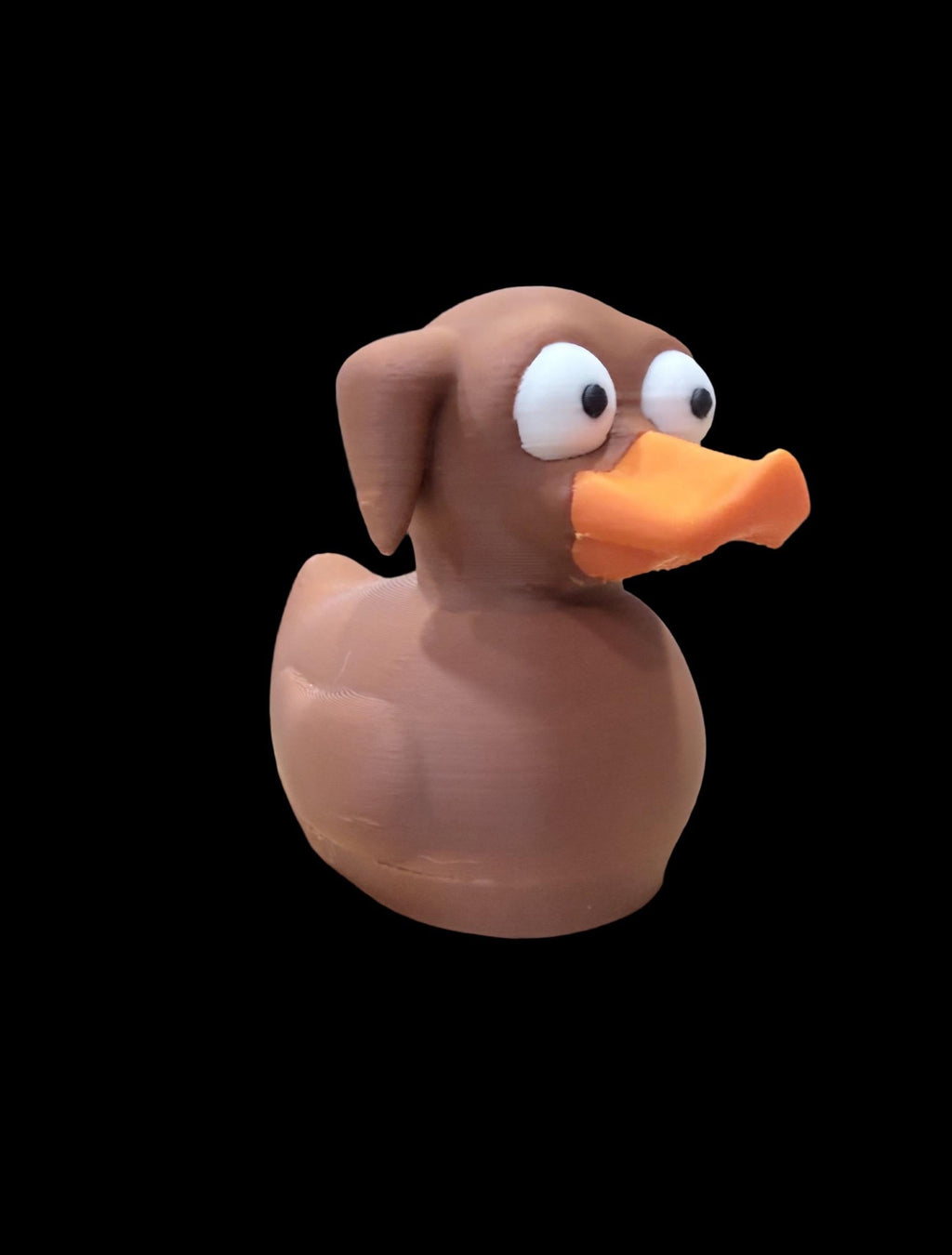 Barkquack – The Goodest Boy of the Pond